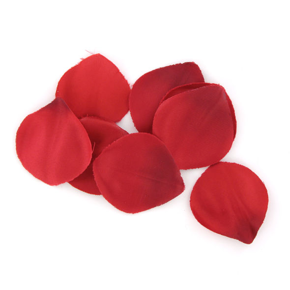 EXTASE SENSUAL - RED TEMPTATION CHEST - Image 4