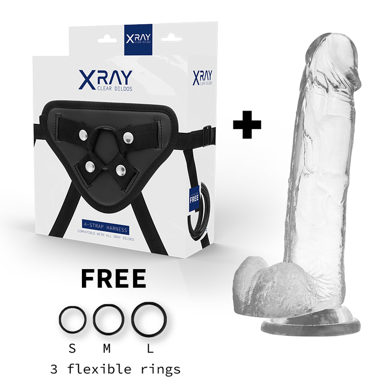 X RAY - HARNESS + COCK WITH BALLS 22 CM -O- 4.6 CM - Image 2